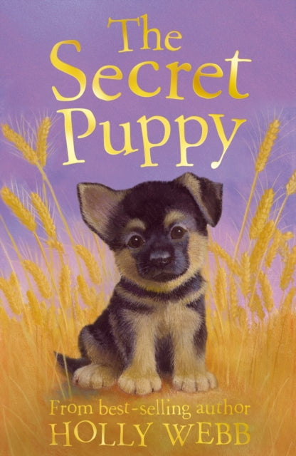 Book cover of: The Secret Puppy. By: Holly Webb