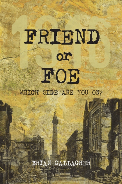 Friend or Foe, 1916: Which side are you on? 9781847176318 Gallagher, Brian