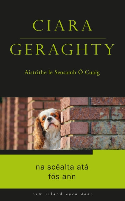 Book cover of: Na Scealta Ata Fos Ann