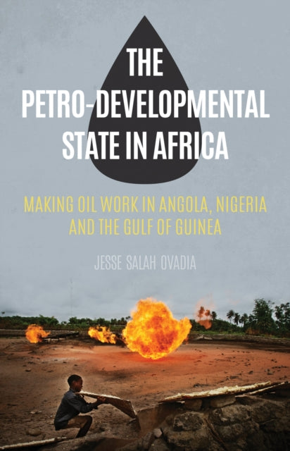 Book cover of: Petro-Developmental State in Africa. By: Jesse Ovadia