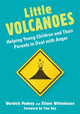 Book cover of: Little Volcanoes. By: Warwick Pudney