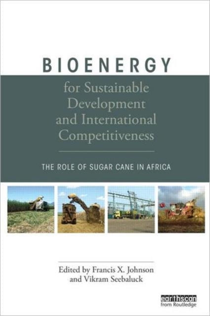 Book cover of: Bioenergy for Sustainable Development and International Competitiveness. By: Francis X. Johnson