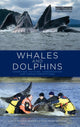 Book cover of: Whales and Dolphins. By: Philippa Brakes