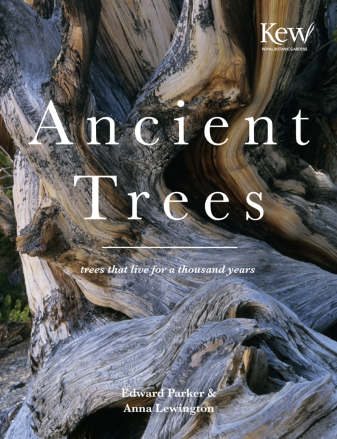 Book cover of: Ancient Trees. By: Anna Lewington