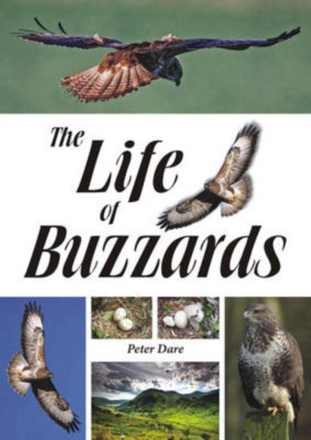 Book cover of: Life of Buzzards. By: Peter Dare