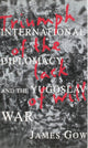Book cover of: Triumph of the Lack of Will. By: James Gow