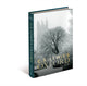 Book cover of: C.S. Lewis's Oxford. By: Simon Horobin