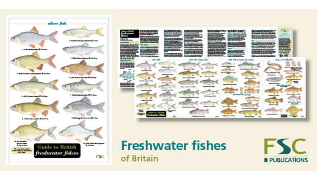 Book cover of: Guide to British Freshwater Fishes