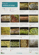 Book cover of: Key to Lichens on Twigs