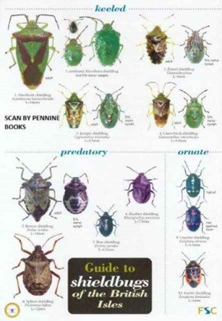 Book cover of: Guide to Shieldbugs of the British Isles