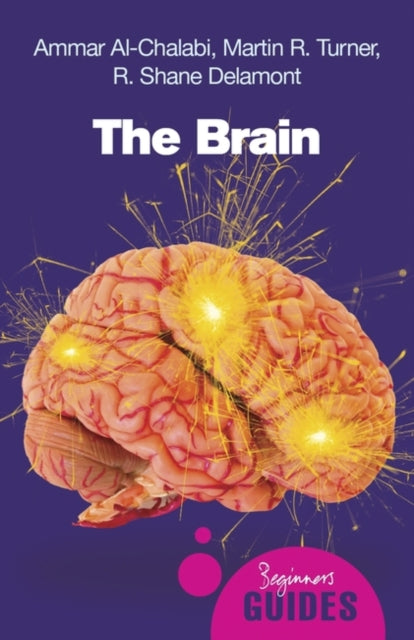 Brain