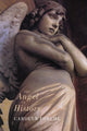 Book cover of: Angel of History