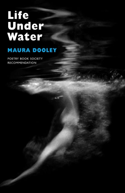 Book cover of: Life Under Water. By: Maura Dooley