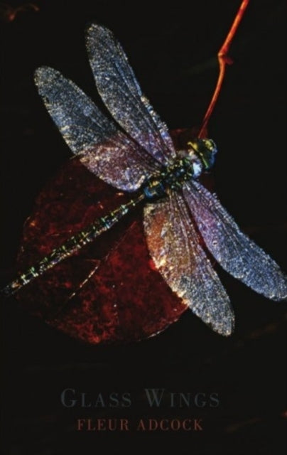 Book cover of: Glass Wings. By: Fleur Adcock