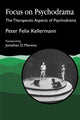 Book cover of: Focus on Psychodrama