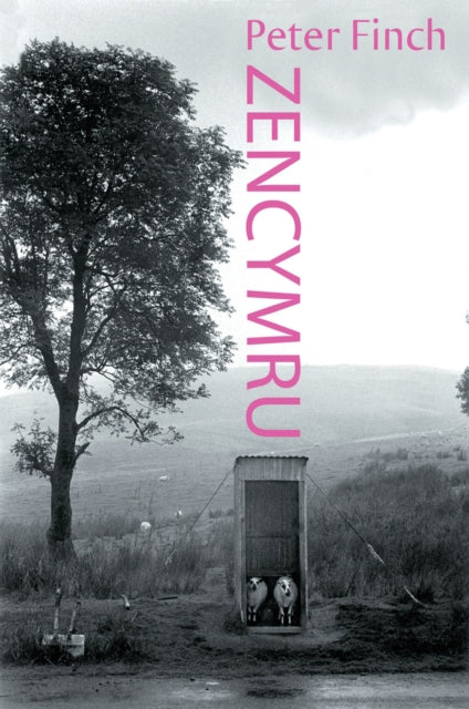 Book cover of: Zen Cymru. By: Finch, Peter