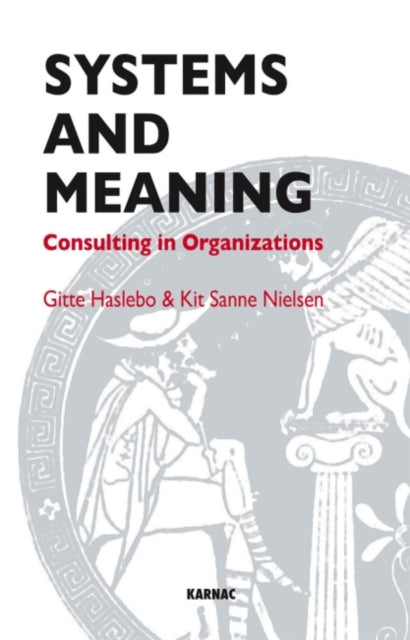 Book cover of: Systems and Meaning. By: Gitte Haslebo