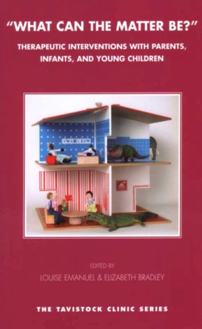 Book cover of: What Can the Matter Be?
