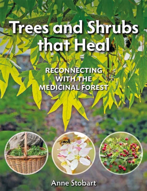 Book cover of: Trees and Shrubs that Heal. By: Anne Stobart