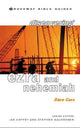 Book cover of: Discovering Ezra and Nehemiah. By: Dave Cave