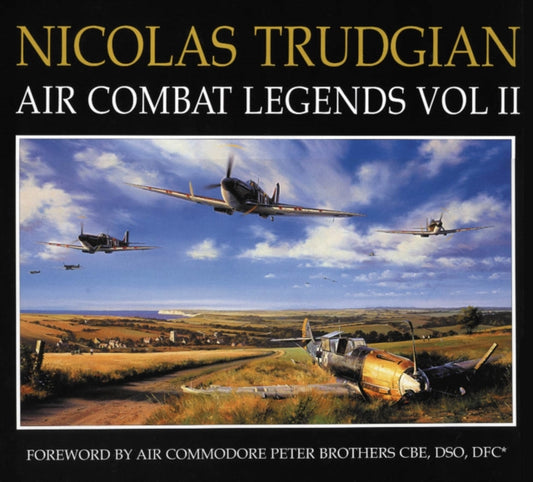 Book cover of: Air Combat Paintings. By: Robert Taylor - undifferentiated