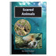 Book cover of: Scared Animals