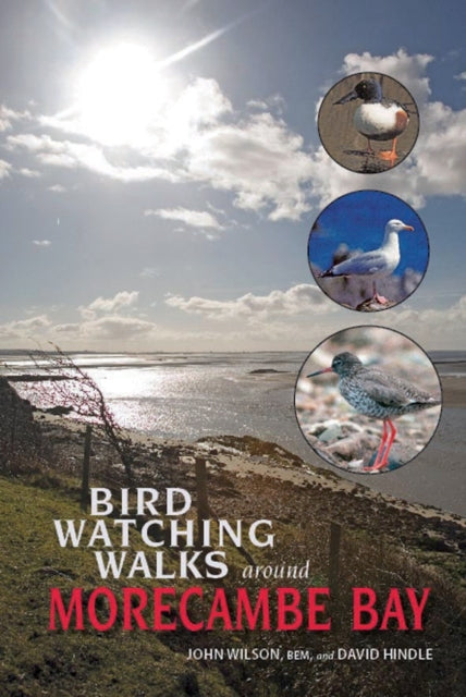 Book cover of: Birdwatching Walks Around Morecambe Bay