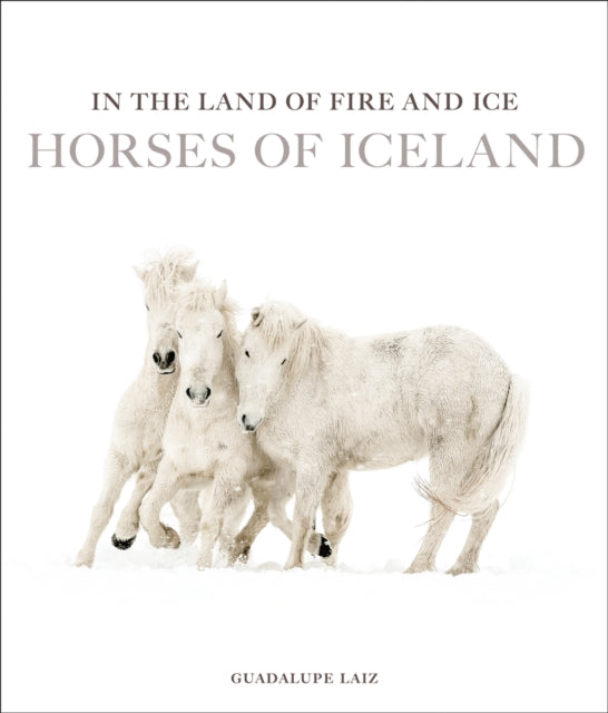 Book cover of: In the Land of Fire and Ice