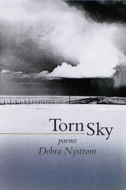Book cover of: Torn Sky