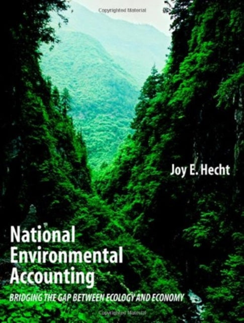 Book cover of: National Environmental Accounting. By: Joy E. Hecht