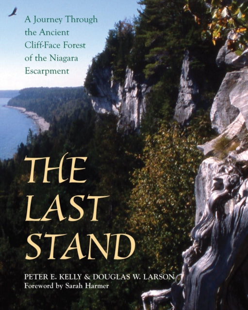 Book cover of: Last Stand. By: Peter E. Kelly