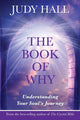 Book cover of: Book of Why