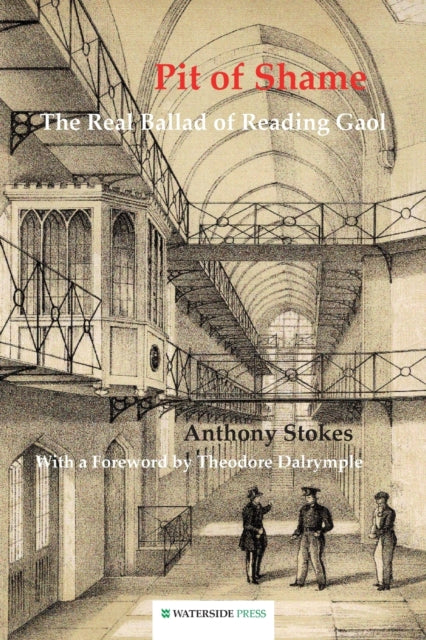 Book cover of: Pit of Shame. By: Anthony Stokes