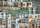 Book cover of: Amanda Tetrault: Phil And Me