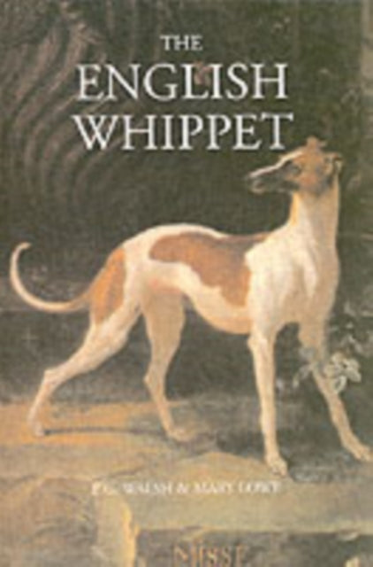Book cover of: English Whippet. By: E.G. Walsh