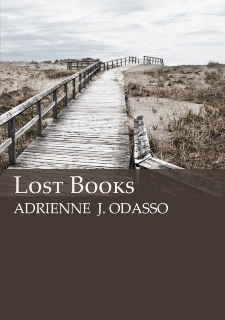 Book cover of: Lost Books. By: Adrienne J. Odasso