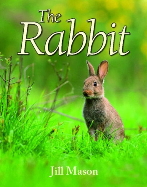 Book cover of: Rabbit. By: Jill Mason