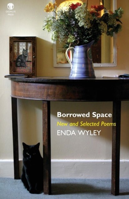 Book cover of: Borrowed Space