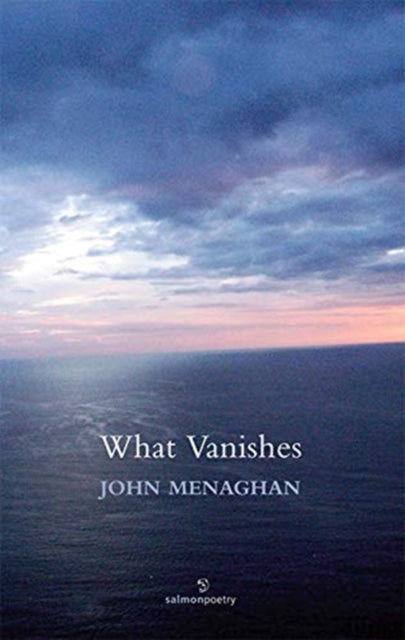 Book cover of: What Vanishes. By: John Menaghan
