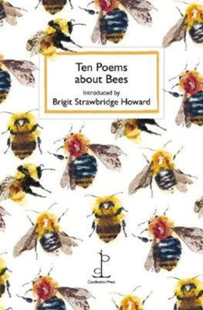 Ten Poems about Bees 9781907598869 Brigit Strabridge Howard