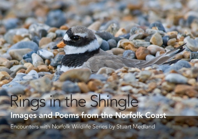 Book cover of: Rings in the Shingle