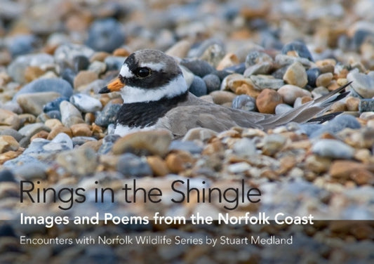 Book cover of: Rings in the Shingle