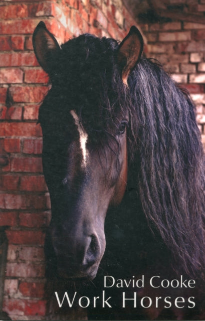 Book cover of: Work Horses. By: David Cooke