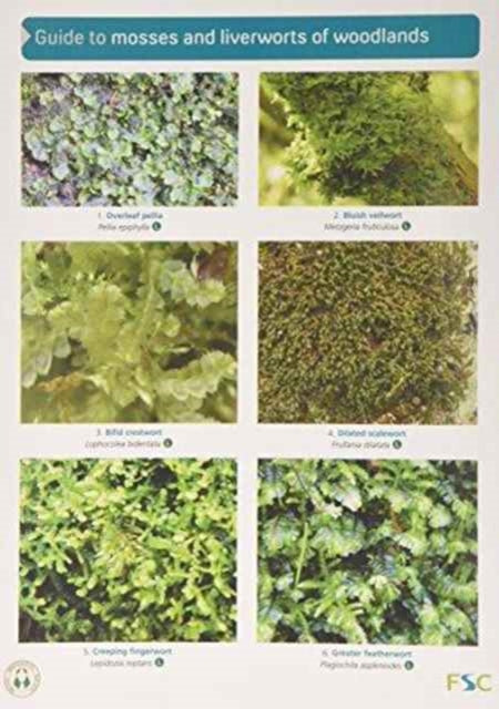 Book cover of: Guide to Mosses and Liverworts of Woodlands
