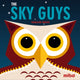 Book cover of: Sky Guys, The. By: Madeleine Rogers