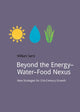 Book cover of: Beyond the Energy–Water–Food Nexus. By: William Sarni