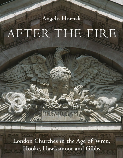 Book cover of: After the Fire. By: Angelo Hornak
