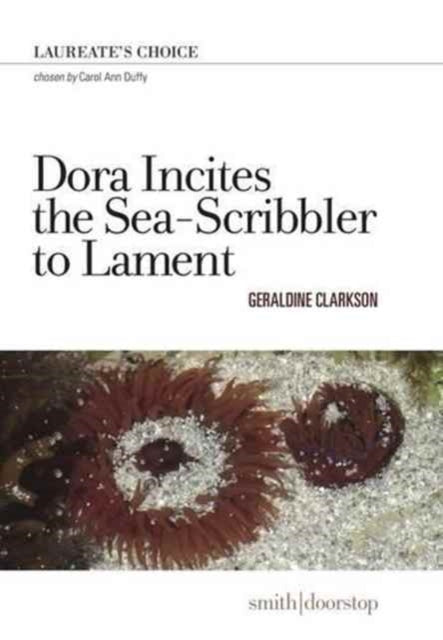 Book cover of: Dora Incites Sea-Scribbler Lament. By: Geraldine CLARKSON