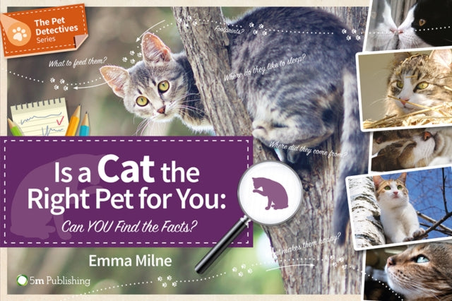 Is a Cat the Right Pet for You
