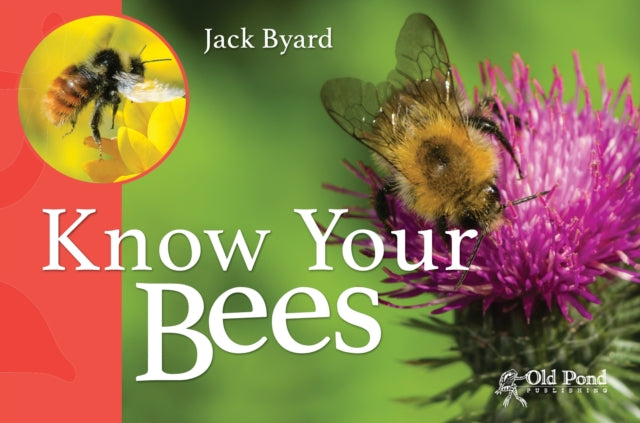Book cover of: Know Your Bees. By: Jack Byard